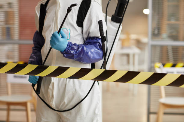 Professional Odor Removal technician working in Raymond, WA