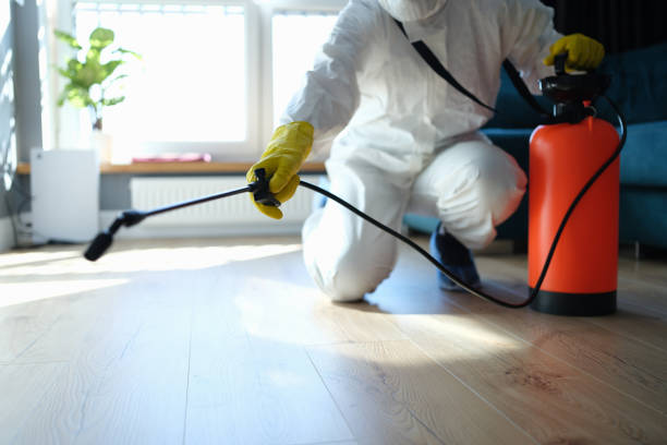 Reliable Odor Removal contractor in Raymond, WA by Trauma Clean Pros